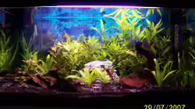 Aquarium Hauptansicht von Becken 6057