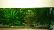Aquarium Hauptansicht von Becken 6113