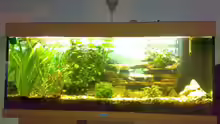 Aquarium Hauptansicht von Becken 6505