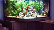 Aquarium Hauptansicht von Becken 6695