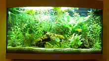 Aquarium Hauptansicht von Becken 6880