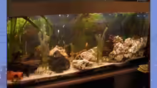 Aquarium Hauptansicht von Becken 7630