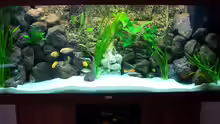 Aquarium Hauptansicht von Becken 7768
