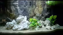 Aquarium Hauptansicht von Becken 780