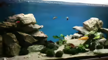 Aquarium Hauptansicht von Becken 800
