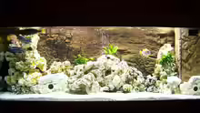 Aquarium Hauptansicht von Becken 8076