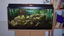 Aquarium Hauptansicht von Becken 8288