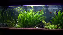 Aquarium Hauptansicht von Becken 830