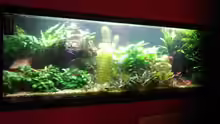 Aquarium Hauptansicht von Becken 8766