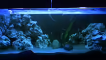 Aquarium Hauptansicht von Becken 8893