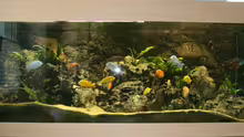 Aquarium Hauptansicht von Becken 892