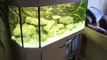 Aquarium Hauptansicht von Becken 919