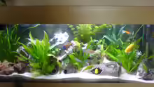 Aquarium Hauptansicht von Becken 9302