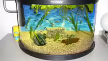 Aquarium Hauptansicht von Becken 9618