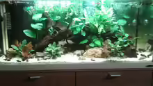 Aquarium Hauptansicht von Flusslauf