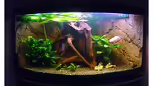 Aquarium Hauptansicht von Fluval Venezia 350
