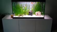 Aquarium Hauptansicht von Fluval