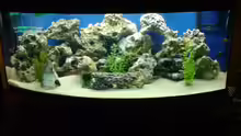 Aquarium Hauptansicht von juwel 450