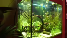 Aquarium Hauptansicht von Lido 120