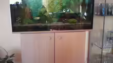 Aquarium Hauptansicht von Mein 112 Liter Becken