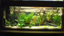 Aquarium Hauptansicht von Mein Aquarium