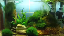 Aquarium In the depth of silence