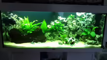 Aquarium Juwel Rio 240