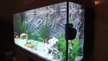 Aquarium Juwel Rio 300