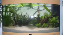Aquarium Juwel Vision 180