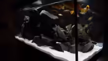 Aquarium Mbunas rocks `n caves
