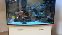 Aquarium meine neuste Sucht!