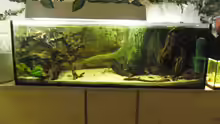 Aquarium mini amazonas