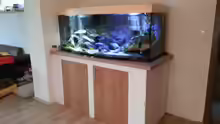 Aquarium mit dem fertigen Unterschrank