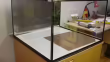 Aquarium mit Plexiglasscheiben