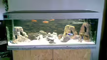 Aquarium Nkhata Bay