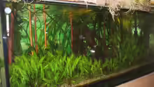 Aquarium Paludarium