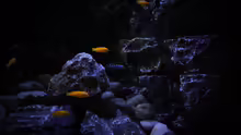 Aquarium Rocky Cliffs