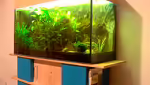 Aquarium schräg