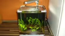 Aquarium Unser 25 Liter - Nano