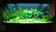 Aquarium Vision 450