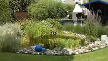 Blick über den Teich Richtung Terasse
