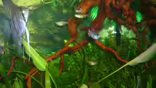 Dekoration im Aquarium Becken 4199
