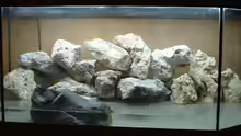 Dekoration im Aquarium Becken 7135