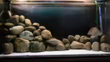 Dekoration im Aquarium Becken 8939