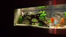 Dekoration im Aquarium Becken 9948