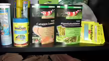Futter Für meine Garnellen