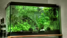 HDR Bild des Aquariums