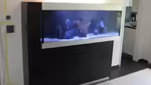 Installation des Aquarium