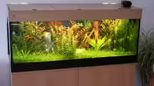 Koplettaquarium von WOHA