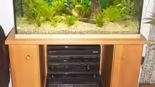 Mein Aquarium